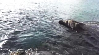 La Digue, Seychelles — Анс Север: рыбалка на 4-й день по плану