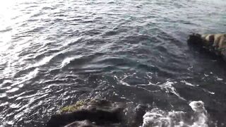 La Digue, Seychelles — Анс Север: рыбалка на 4-й день по плану