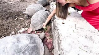 La Digue, Seychelles — идеальный день: морская рыбалка в Anse Source d’Argent?