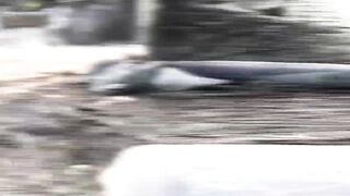 La Digue, Seychelles — идеальный день: морская рыбалка в Anse Source d’Argent?