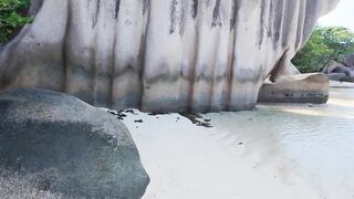 Сейшелы, La Digue — чем притягивает остров и где здесь рыбалка для туриста?