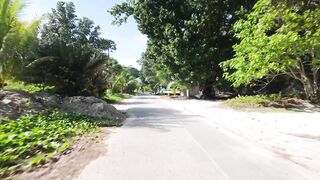 Сейшелы, La Digue — чем притягивает остров и где здесь рыбалка для туриста?