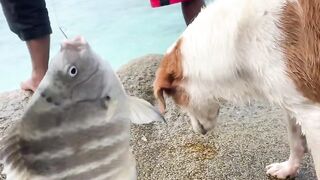 La Digue, Seychelles: рыбалка с местной семьёй — день на воде