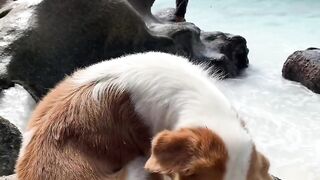 La Digue, Seychelles: рыбалка с местной семьёй — день на воде