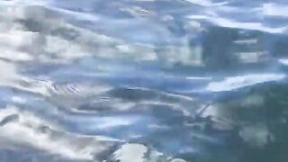 La Digue, Seychelles — плавание с рыбой: клюёт ли после снорка?