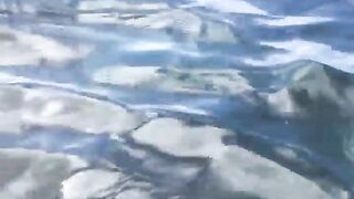 La Digue, Seychelles — плавание с рыбой: клюёт ли после снорка?