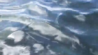 La Digue, Seychelles — плавание с рыбой: клюёт ли после снорка?