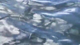 La Digue, Seychelles — плавание с рыбой: клюёт ли после снорка?