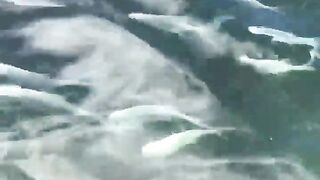 La Digue, Seychelles — плавание с рыбой: клюёт ли после снорка?