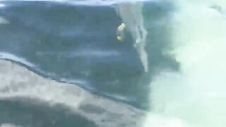 La Digue, Seychelles — плавание с рыбой: клюёт ли после снорка?