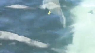 La Digue, Seychelles — плавание с рыбой: клюёт ли после снорка?