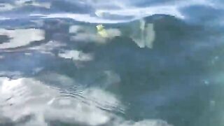 La Digue, Seychelles — плавание с рыбой: клюёт ли после снорка?