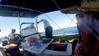 La Digue, Seychelles — bottom fishing: традиционная рыбалка на глубине