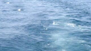 Таиланд, остров Рача — морская рыбалка на свалах: как прошёл день?