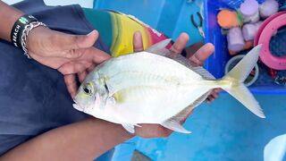 Таиланд, остров Рача — морская рыбалка на свалах: как прошёл день?