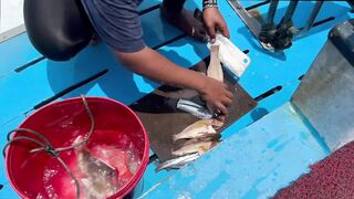 Таиланд, остров Рача — морская рыбалка на свалах: как прошёл день?