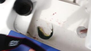 Пхукет — рыбалка по дороге на Ко Рача: что клюёт у банок?