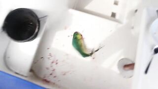 Пхукет — рыбалка по дороге на Ко Рача: что клюёт у банок?