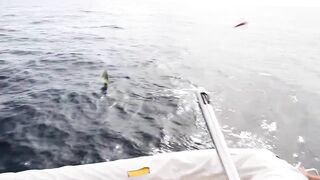 Пхукет — рыбалка по дороге на Ко Рача: что клюёт у банок?