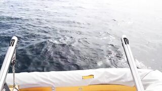 Пхукет — рыбалка по дороге на Ко Рача: что клюёт у банок?