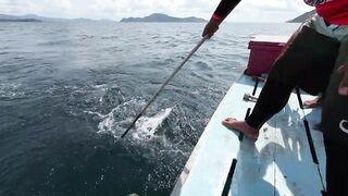 Остров Рача, Пхукет: морская рыбалка — барракуда и тунец в 2023