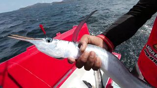 Остров Рача, Пхукет: морская рыбалка — барракуда и тунец в 2023