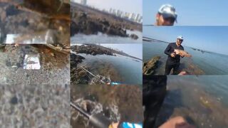 Mumbai — тревалли, групер и другое: сводка уловов за 2 дня