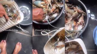 Mumbai — крабы и причал: где ставить ловушки и когда заходить?