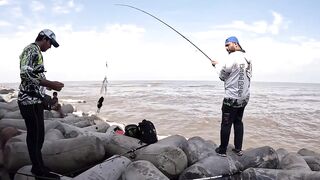 Mumbai — берег и лодка: рыбалка у волнорезов, что клюет по сезону?