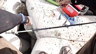 Mumbai — берег и лодка: рыбалка у волнорезов, что клюет по сезону?