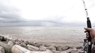 Mumbai — берег и лодка: рыбалка у волнорезов, что клюет по сезону?