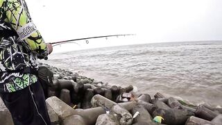 Mumbai — берег и лодка: рыбалка у волнорезов, что клюет по сезону?