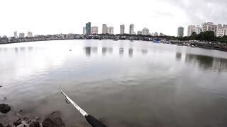 Mumbai — берег и лодка: рыбалка у волнорезов, что клюет по сезону?