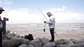 Mumbai — берег и лодка: рыбалка у волнорезов, что клюет по сезону?