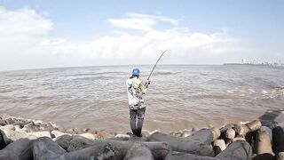 Mumbai — берег и лодка: рыбалка у волнорезов, что клюет по сезону?