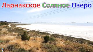 Larnaca Salt Lake — фламинго и сезонность ветров, рыбалка рядом у пирса?