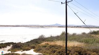 Larnaca Salt Lake — фламинго и сезонность ветров, рыбалка рядом у пирса?