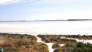 Larnaca Salt Lake — фламинго и сезонность ветров, рыбалка рядом у пирса?