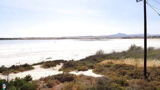 Larnaca Salt Lake — фламинго и сезонность ветров, рыбалка рядом у пирса?