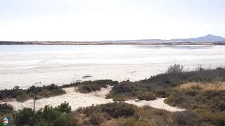Larnaca Salt Lake — фламинго и сезонность ветров, рыбалка рядом у пирса?
