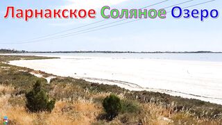 Larnaca Salt Lake — фламинго и сезонность ветров, рыбалка рядом у пирса?