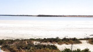 Larnaca Salt Lake — фламинго и сезонность ветров, рыбалка рядом у пирса?