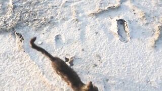 Larnaca Salt Lake — солёное озеро и рыбалка неподалёку