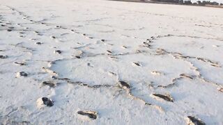 Larnaca Salt Lake — солёное озеро и рыбалка неподалёку
