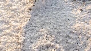 Larnaca Salt Lake — солёное озеро и рыбалка неподалёку