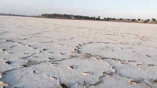 Larnaca Salt Lake — солёное озеро и рыбалка неподалёку