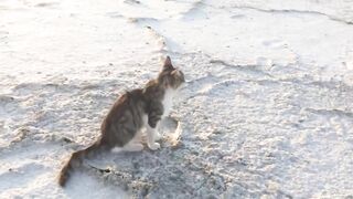 Larnaca Salt Lake — солёное озеро и рыбалка неподалёку