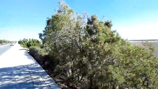 Larnaca Salt Lake — розовые фламинго, а рыбалка где рядом?