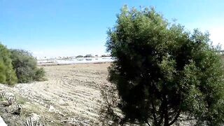 Larnaca Salt Lake — розовые фламинго, а рыбалка где рядом?