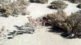 Larnaca Salt Lake — розовые фламинго, а рыбалка где рядом?